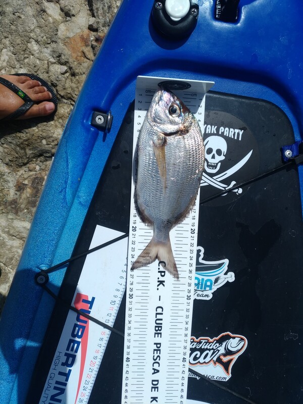 Fish Measure Picture